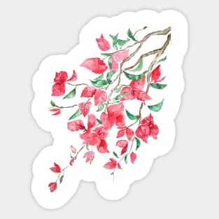 Reddish Pink Bougainvillea flower watercolor 2020 Sticker